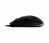 acer-cestus-335