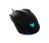 acer-cestus-335