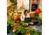 productimageoverlaysmall