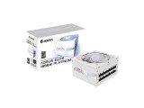 GIGABYTE AORUS ELITE P1000W ICE