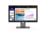 Lenovo ThinkVision P24Q-40 23.8 " LCD 64B2GAT1EU 6 ms, 2560 x 1440 pixels, Black